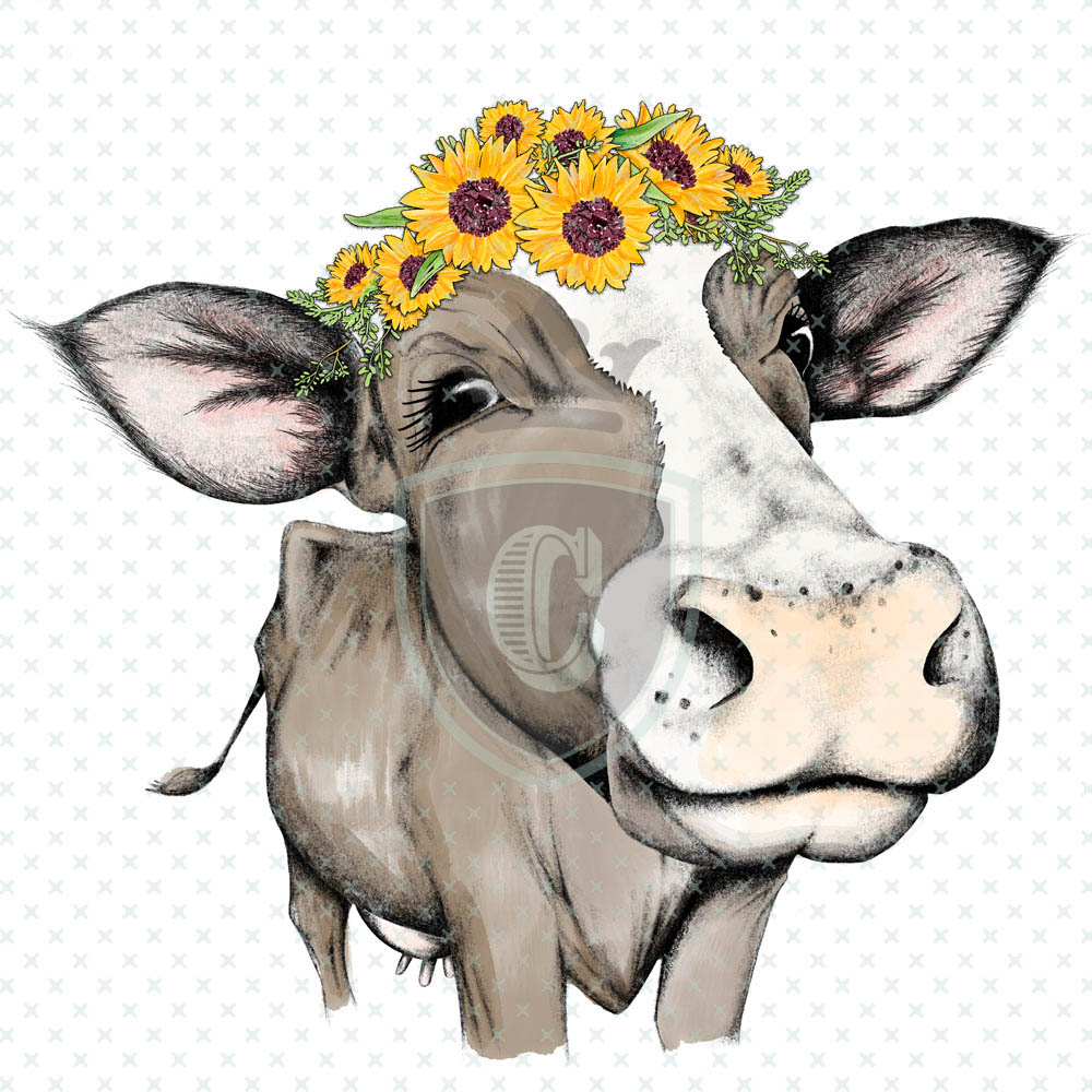 Waterslide Transfer WDN00033 CRAFTEX Warehouse Be Creative