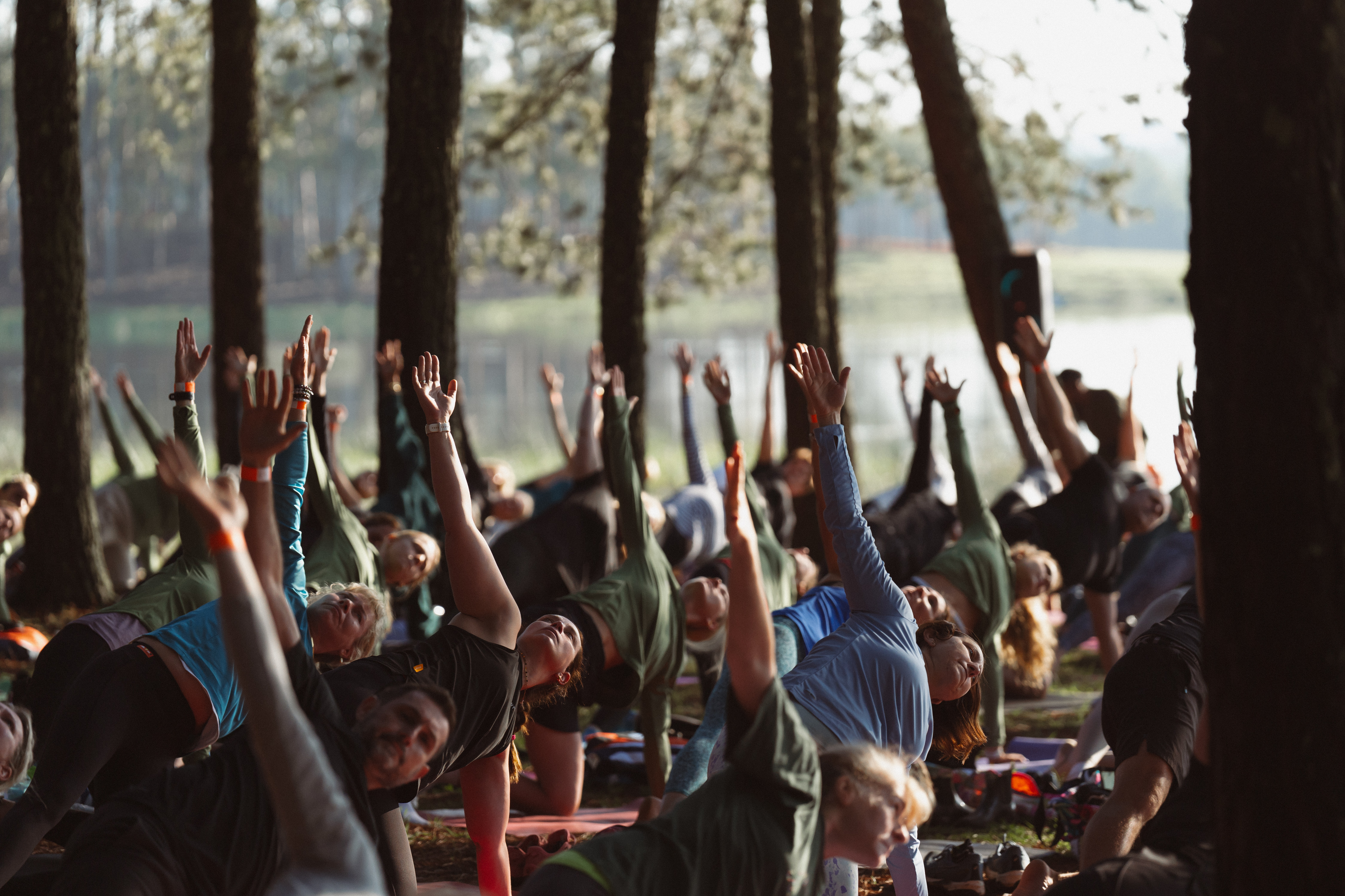 Awaken Yoga Festival November 2025 | Entry Ninja – the best