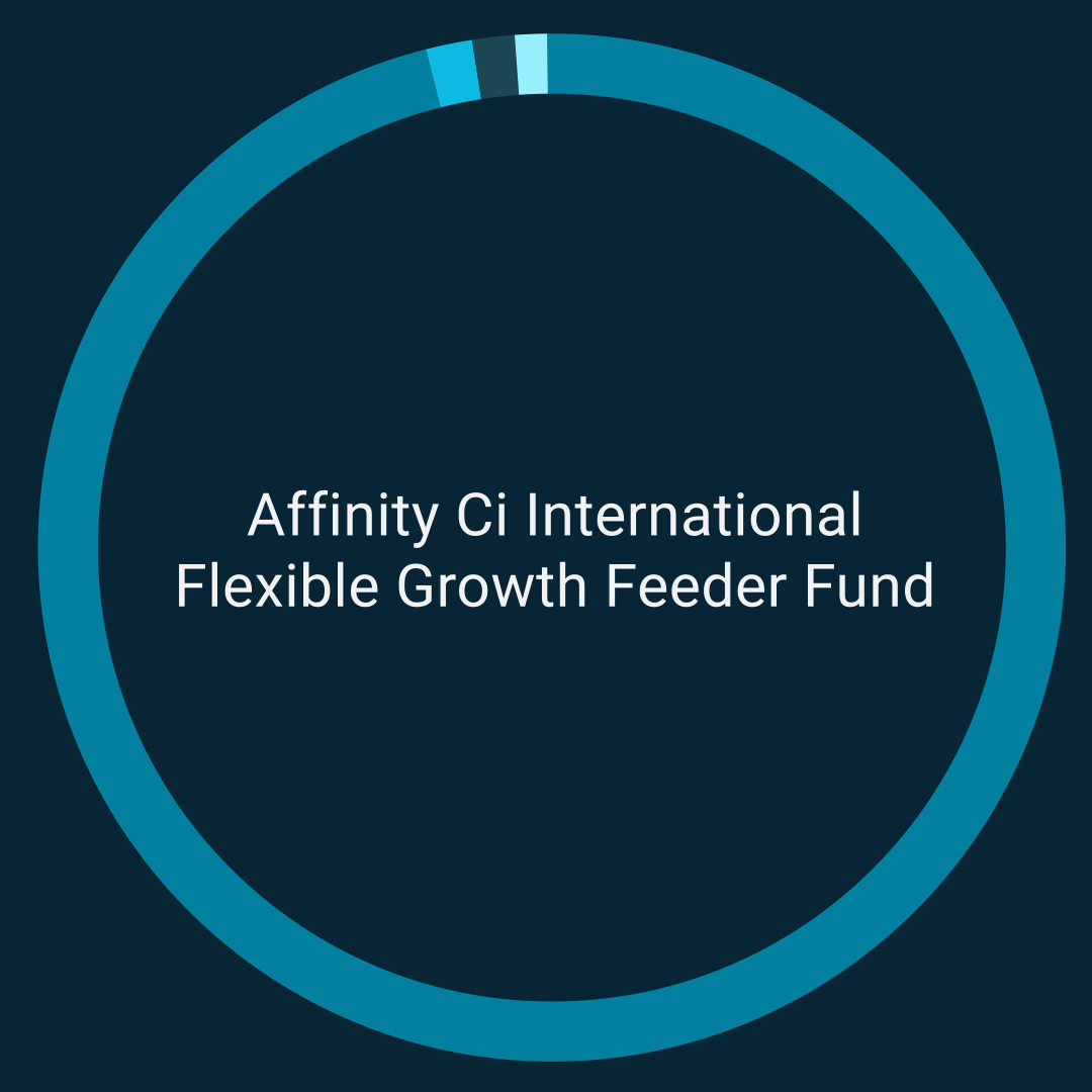 Affinity Ci International Flexible Growth Feeder Fund