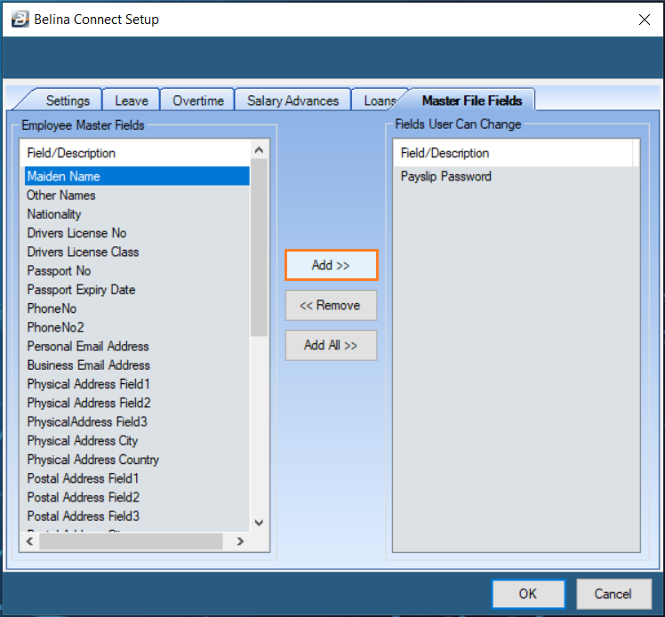 BelinaConnectSetup_MasterFileFieldsTab02