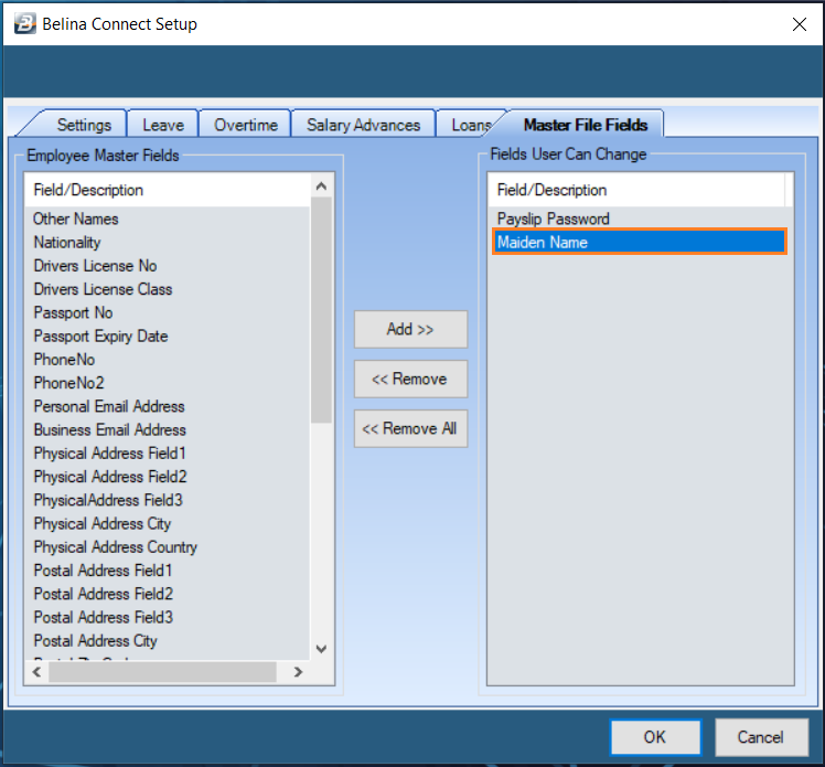BelinaConnectSetup_MasterFileFieldsTab03