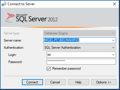 sql instance
