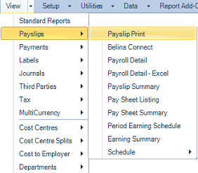 Reports Menu - Payslips