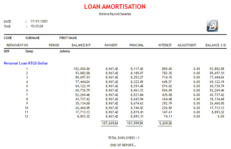 Reports - Loan Amortisation