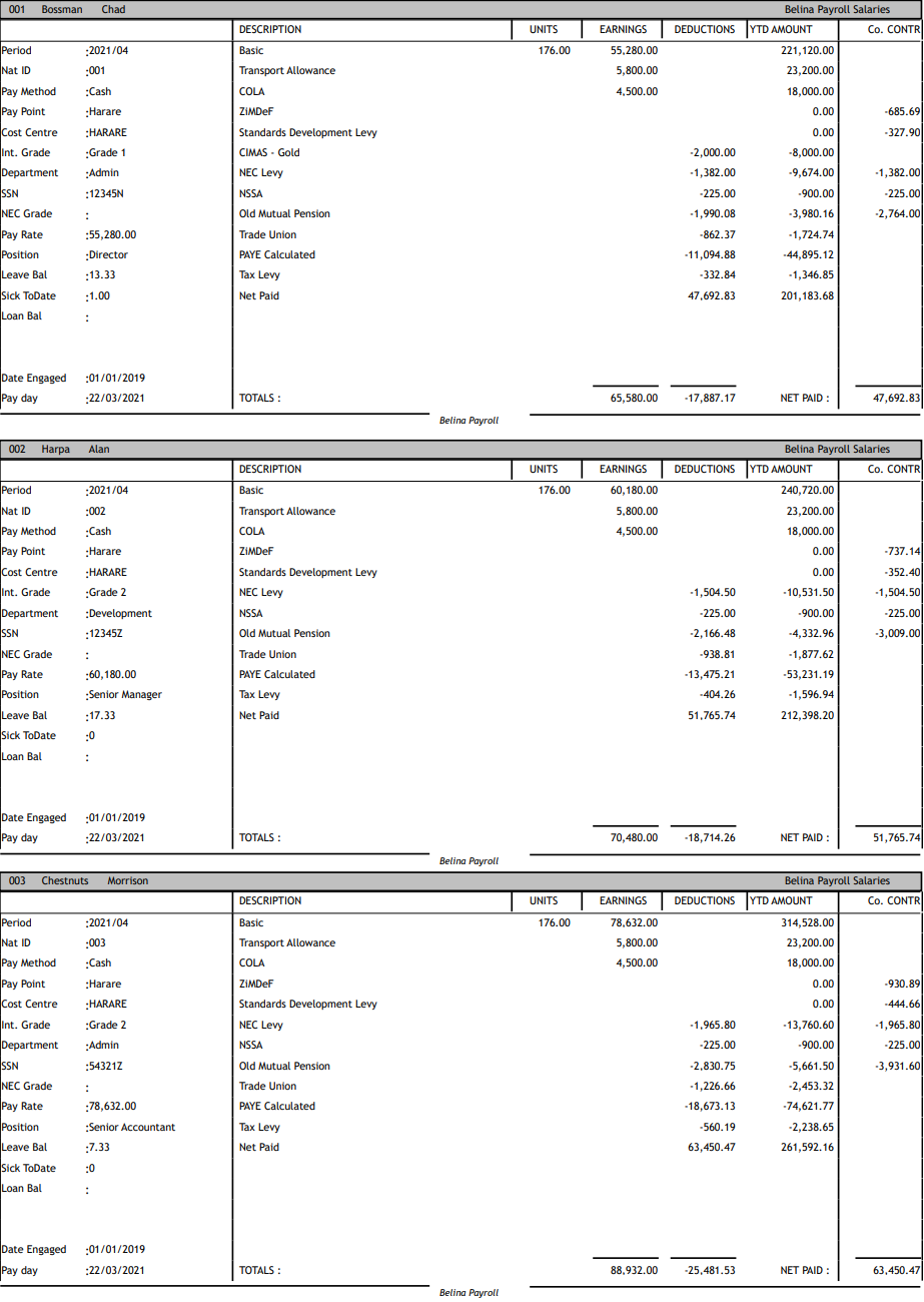 Reports - Payslip 3 per page