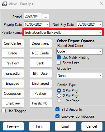 View Payslip Multicurrency