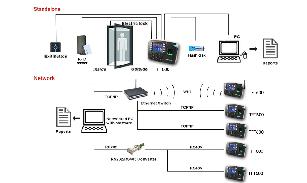 TFT600 - Network