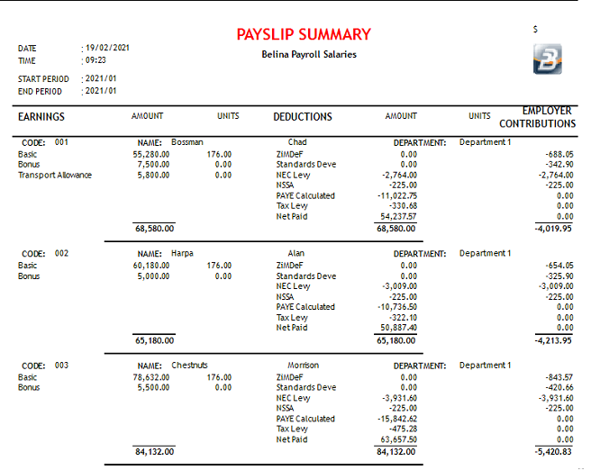 Reports - Payslip Summary