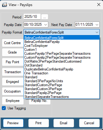 Multicurrency Payslip Format