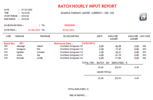 Reports-P-Hourly Input