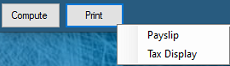 Tax Display - Payslip Input