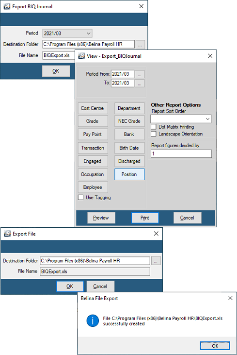 Export - Accounting - BIQ
