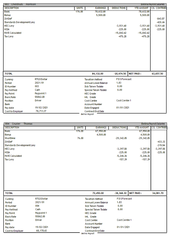 Reports - Payslips - 2 per page