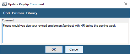 PayslipComment2