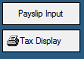 PayslipInputTaxDisplay