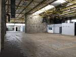 Maitland Industrial Park - unit A11 384sqm property image 1
