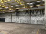 Maitland Industrial Park - unit A11 384sqm property image 6