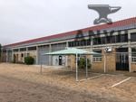 Maitland Industrial Park - unit A11 384sqm property image 24