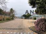 Maitland Industrial Park - unit A11 384sqm property image 26