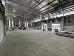 5 Crispa Road - Entire Building property image 34