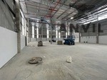 5 Crispa Road - Entire Building property image 36