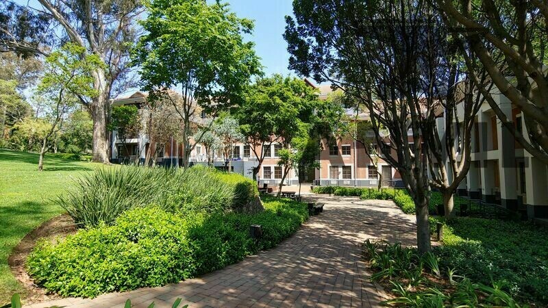 The Woodlands Office park, Building 11B - Building 11 B- FF  property image 23