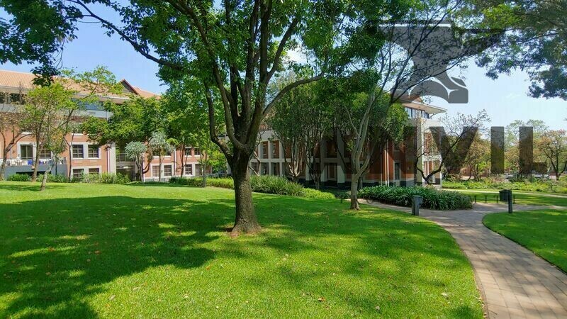 The Woodlands Office park, Building 11B - Building 11 B- FF  property image 24