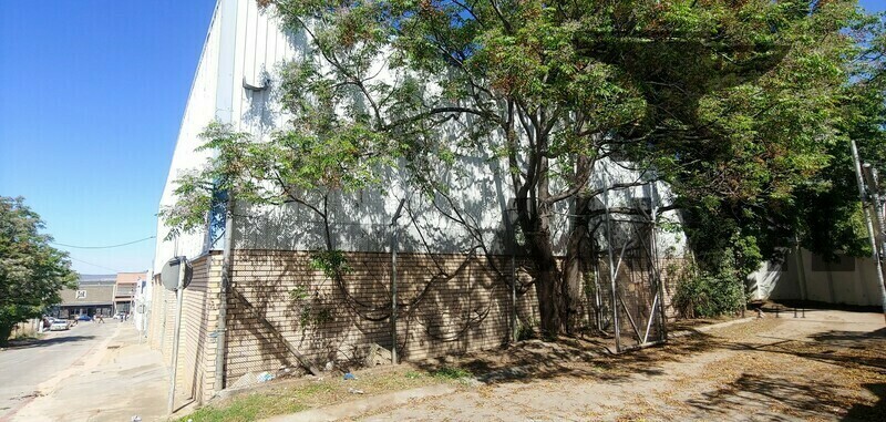 6 Lances Street - 6 Lances St, Cannon Hill, Kariega property image 14