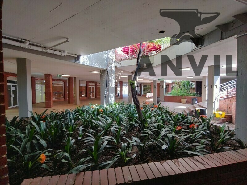 28 Skylab Street - Shop LG02 property image 14