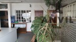 6 Trafford Road - Standalone For Sale property image 14