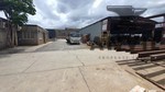 6 Trafford Road - Standalone For Sale property image 19