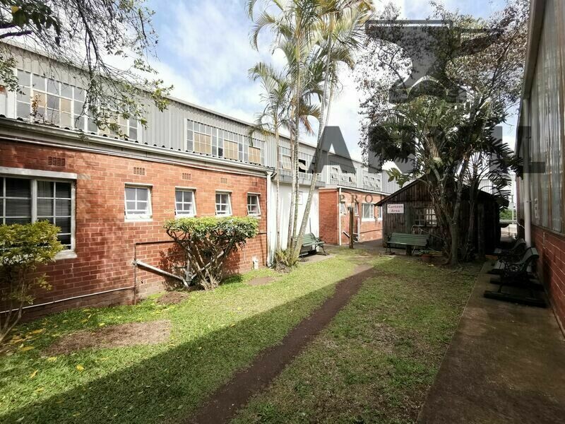 11 Nipper Road - Entire Building property image 36