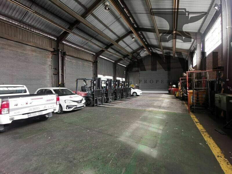 11 Nipper Road - Entire Building property image 16