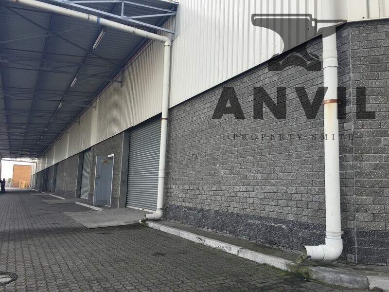 43 Radnor Street, Parow Industrial - Duplicate - 43 Radnor Rd -Parow Industrial  property image 49