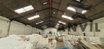 8 Dacres Avenue - Duplicate - Freestanding Warehouse  property image 7