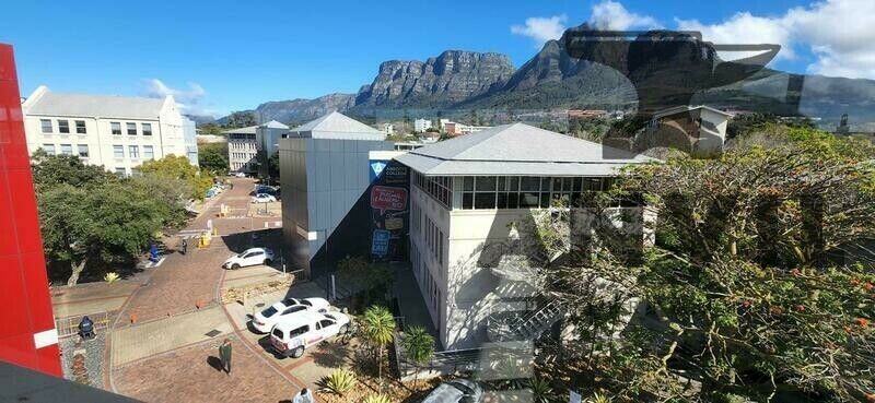 Belmont Office Park, Cape Town - College House, Entire Building property image 19