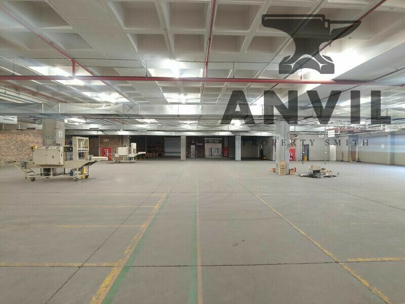 48 Milkyway - Entire Building property image 11