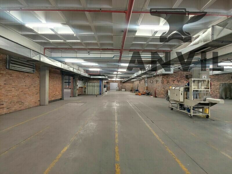 48 Milkyway - Entire Building property image 27