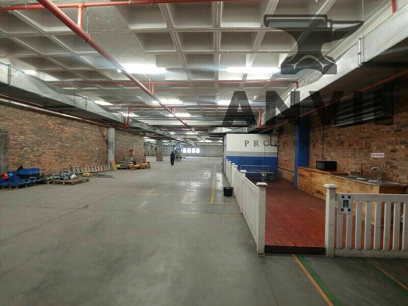 48 Milkyway - Entire Building property image 29