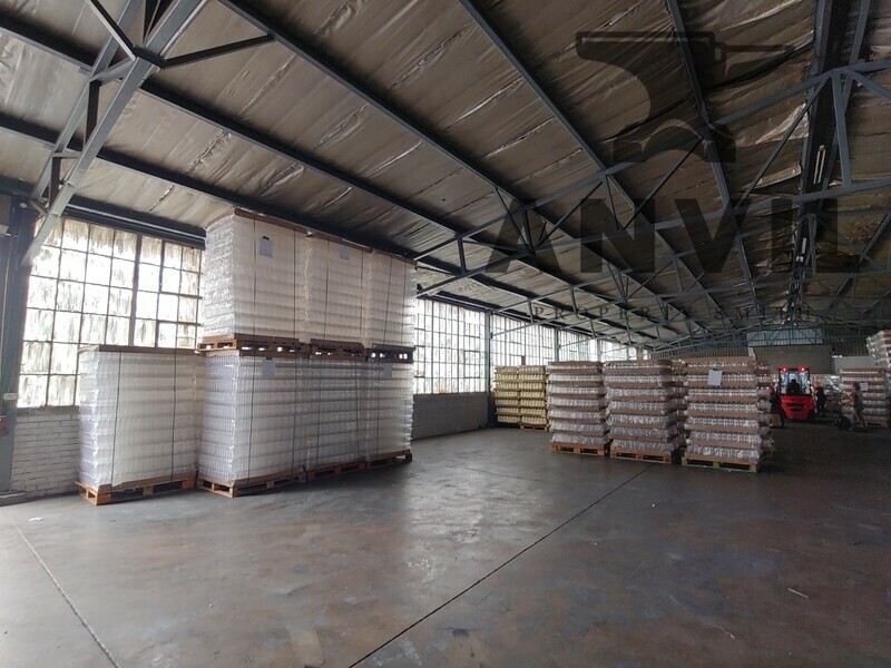 60 Steel Road - Entire Property property image 19