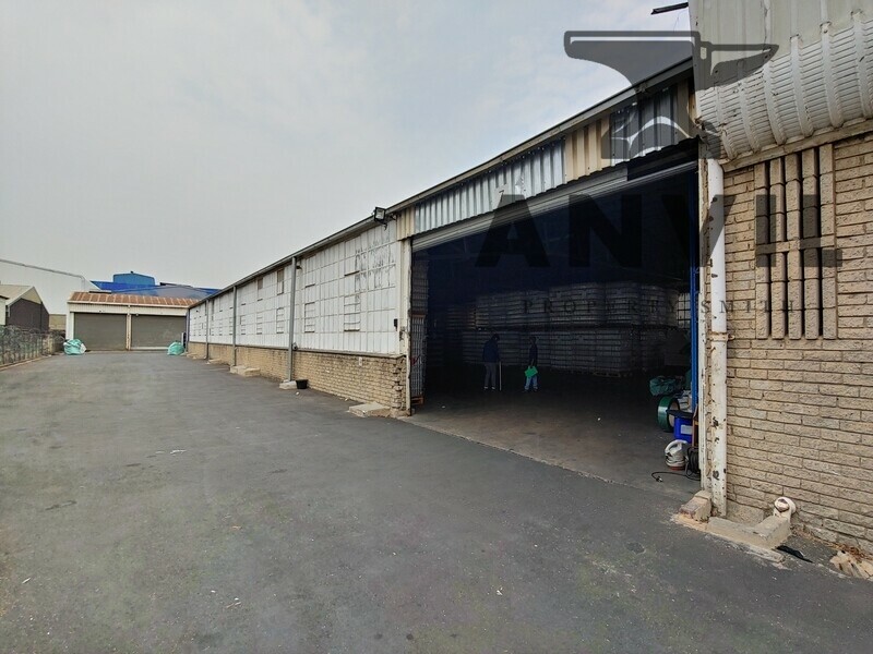 60 Steel Road - Entire Property property image 22