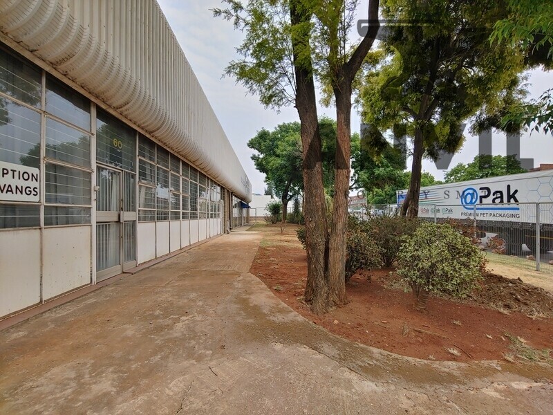 60 Steel Road - Entire Property property image 24