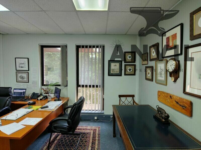 26 Cedar Avenue, Richmond - Entire Building property image 18