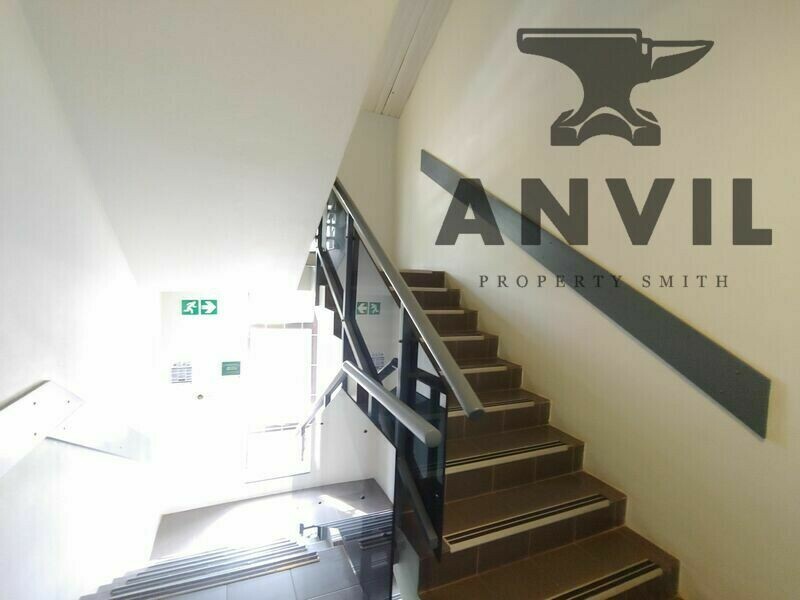 26 Cedar Avenue, Richmond - Entire Building property image 29