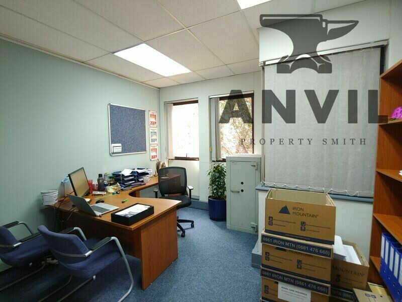 26 Cedar Avenue, Richmond - Entire Building property image 50