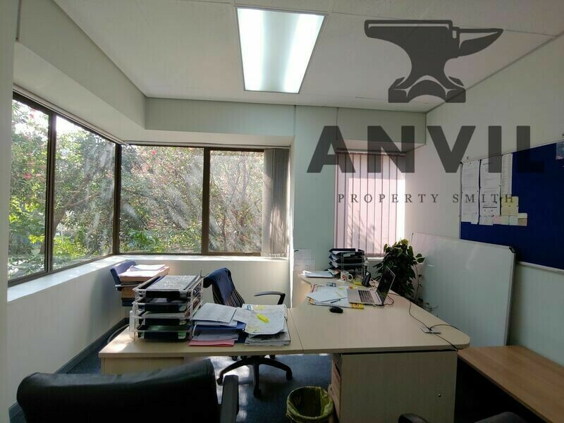 26 Cedar Avenue, Richmond - Entire Building property image 6