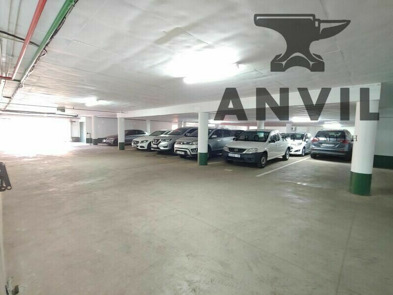 26 Cedar Avenue, Richmond - Entire Building property image 53