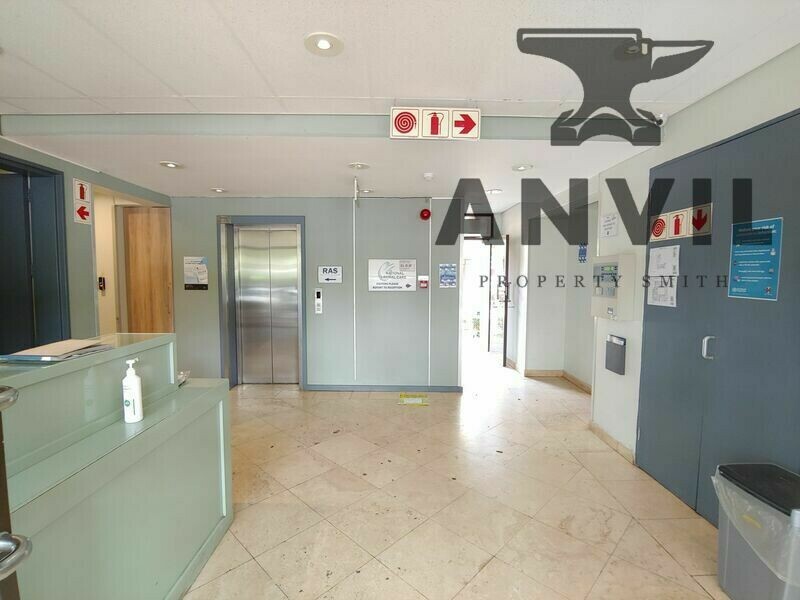 26 Cedar Avenue, Richmond - Entire Building property image 2