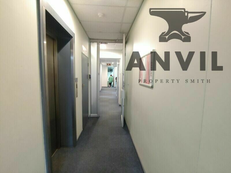 26 Cedar Avenue, Richmond - Entire Building property image 55