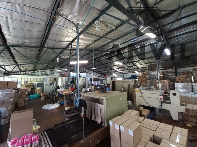 22 Suffert Street - Entire Unit property image 4